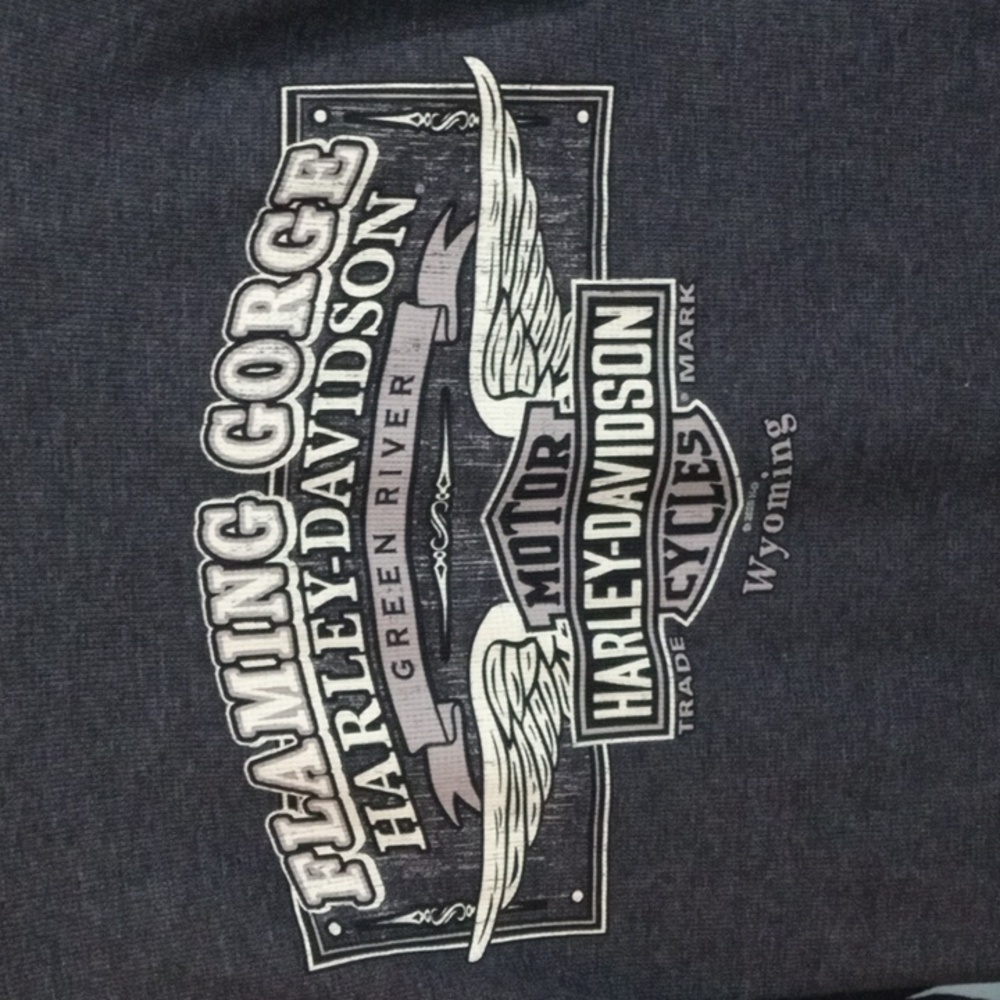 Harley-Davidson Gray Long Sleeve Eagle Tee Men’s Large - Picture 3 of 6